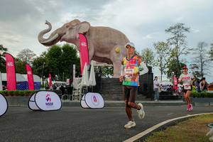 BIB: 
                            <button type="button" onclick="openModal(26528506)" class="btn btn-primary btn-sm float-right btn-popup" data-toggle="modal" data-target=".modal-high-quality">
                        <i class="fas fa-shopping-cart"></i> Add to Cart
                    </button>
                                            <button type="button" onclick="isThisMe(26528506, true)" class="btn btn-success btn-sm float-right btn-popup btn-isme hidden" data-toggle="tooltip" data-placement="bottom" title="นี่คือรูปของคุณใช่ไหม คลิกที่นี่เพื่อเอาเข้าอัลบั้ม">
                        <i class="fas fa-plus"></i> Add to album
                    </button>
                    <button type="button" onclick="isThisMe(26528506, false)" class="btn btn-warning btn-sm float-right btn-popup btn-isnotme hidden">
                        <i class="fas fa-ban"></i> Remove from album
                    </button>